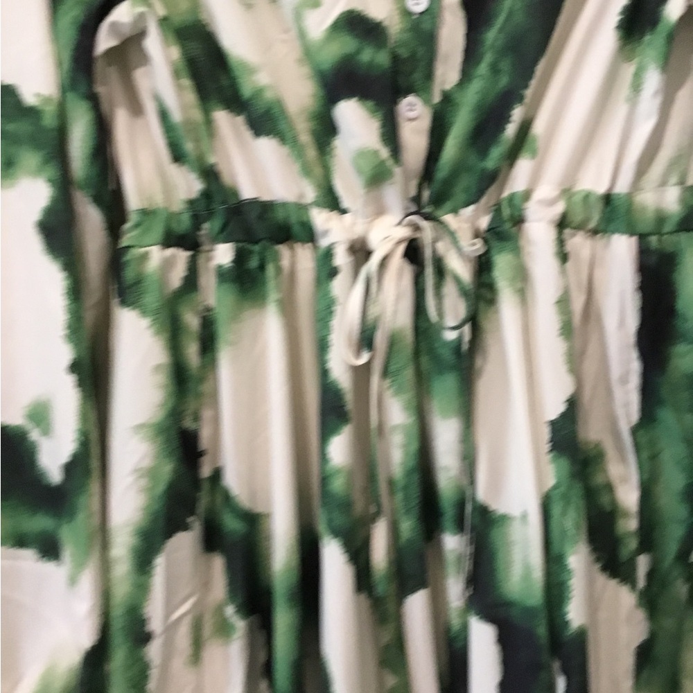 Green and White Button-Up Dress - Picture 6 of 7